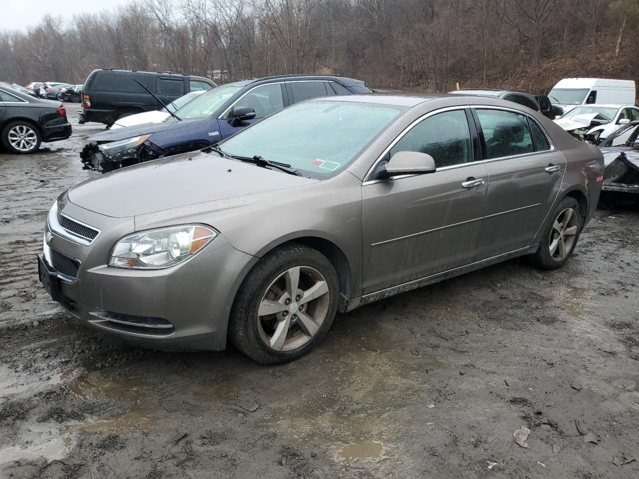 Lot #3024364596 2012 CHEVROLET MALIBU 1LT