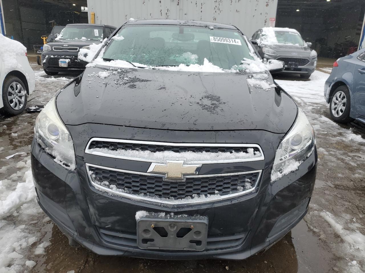 Lot #3034339070 2013 CHEVROLET MALIBU 1LT