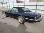 Lot #3044914027 1993 JAGUAR XJS