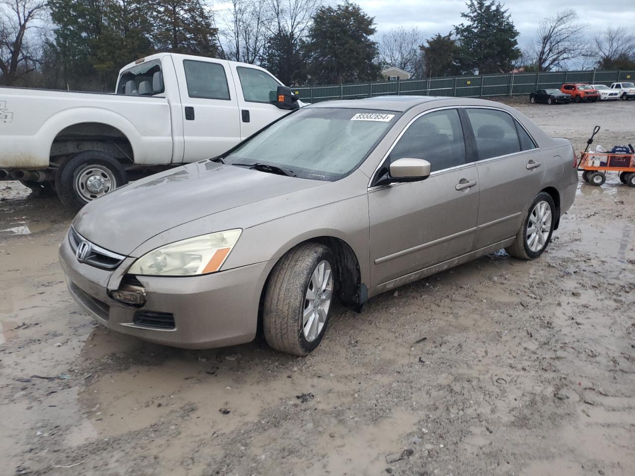 Lot #3029430685 2006 HONDA ACCORD EX