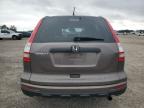 Lot #3027157290 2010 HONDA CR-V LX