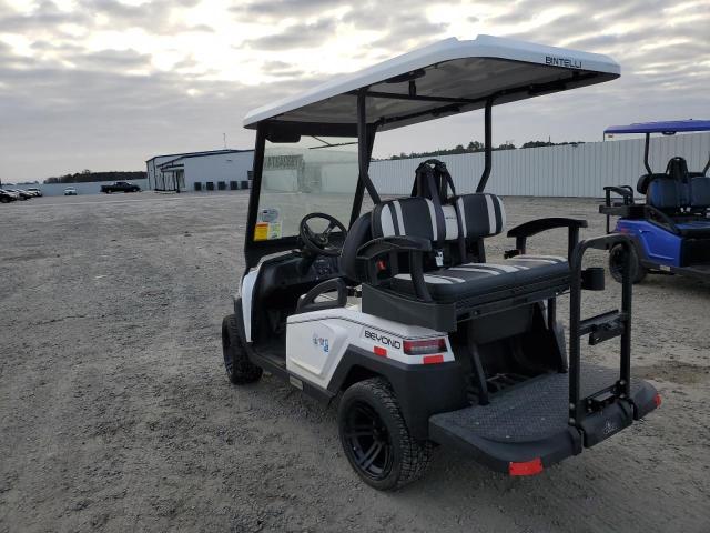 OTHER GOLF CART 2023 white   7R3BA4239PC002104 photo #4