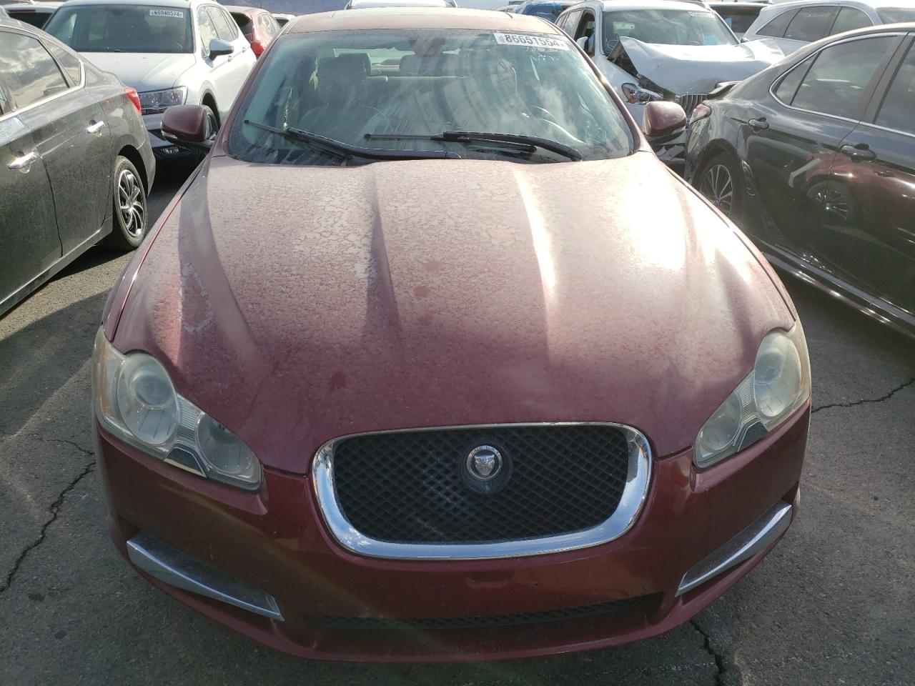 Lot #3037383707 2011 JAGUAR XF PREMIUM