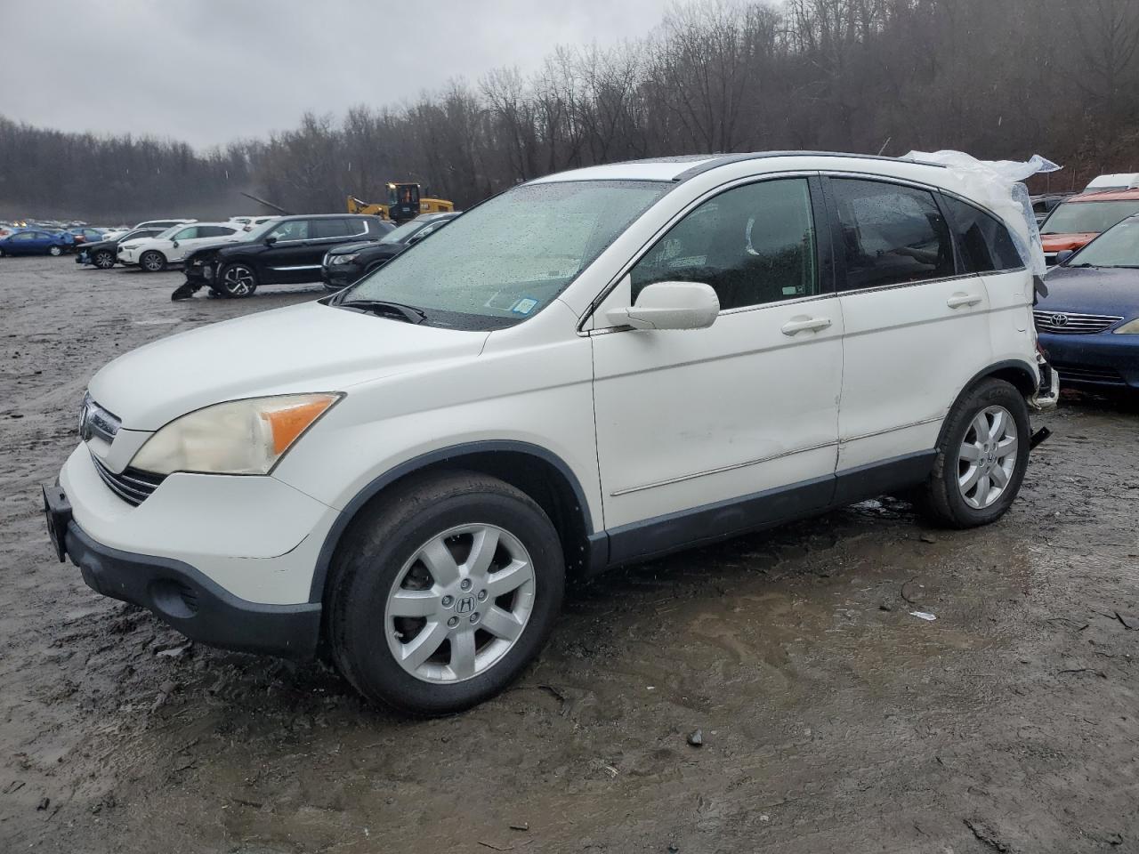 Lot #3029348691 2008 HONDA CR-V EXL