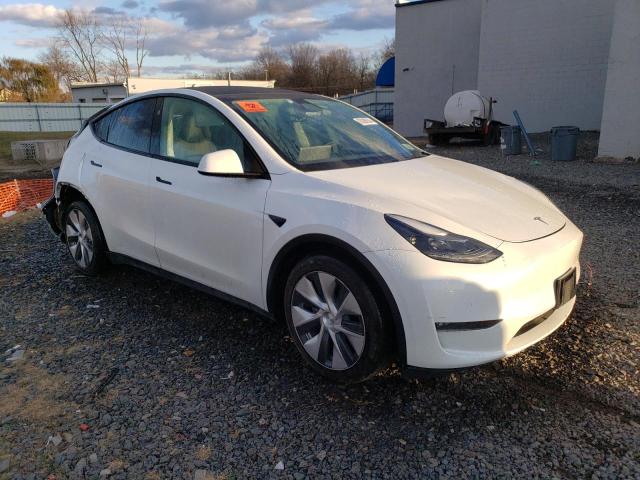 2023 TESLA MODEL Y - 7SAYGDEE5PF823323