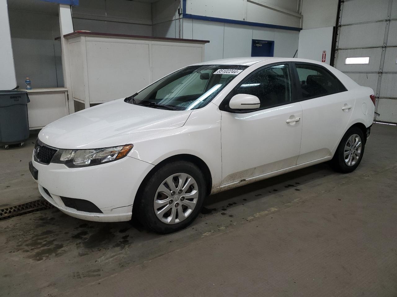 Lot #3033493107 2013 KIA FORTE EX