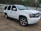 Lot #3026233289 2008 CHEVROLET TAHOE C150