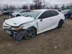 2019 TOYOTA CAMRY L - 4T1B11HK3KU218619