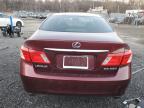 Lot #3024307023 2008 LEXUS ES 350