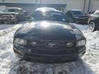 Lot #3024327045 2006 FORD MUSTANG