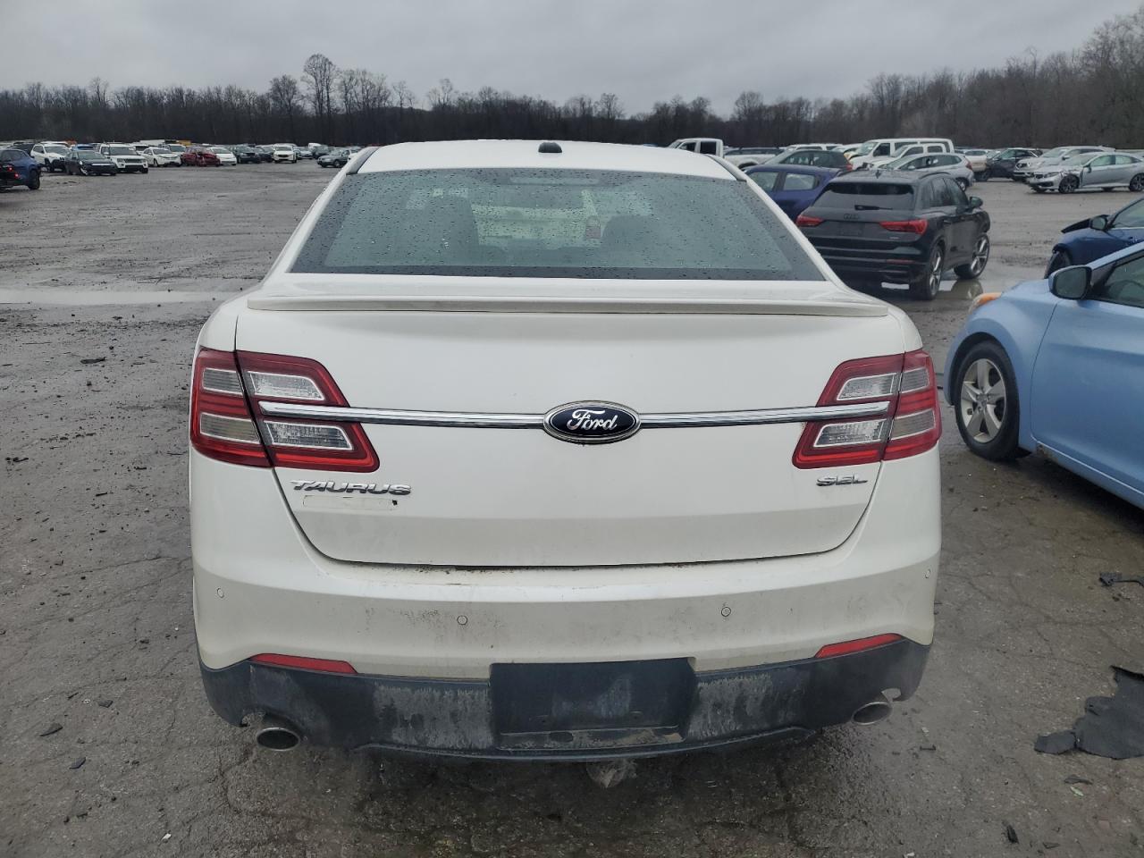 Lot #3030637102 2013 FORD TAURUS SEL