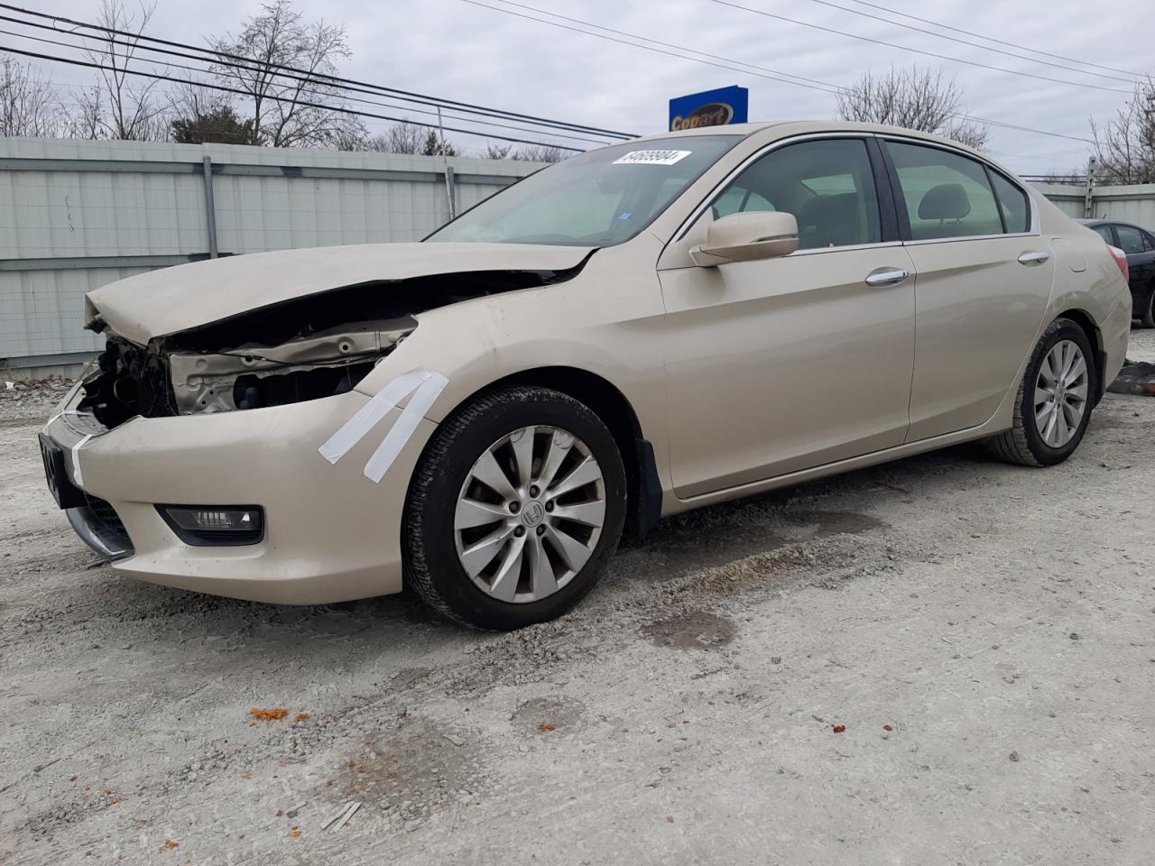 Lot #3028596941 2014 HONDA ACCORD EXL