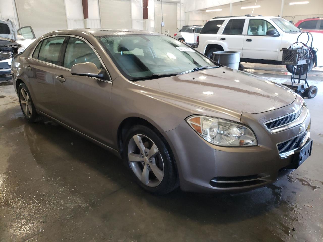 Lot #3034306081 2011 CHEVROLET MALIBU 1LT