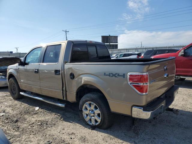 VIN 1FTFW1ET8DKE70563 2013 FORD F-150 no.2