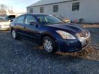 Lot #3024895405 2010 NISSAN ALTIMA BAS