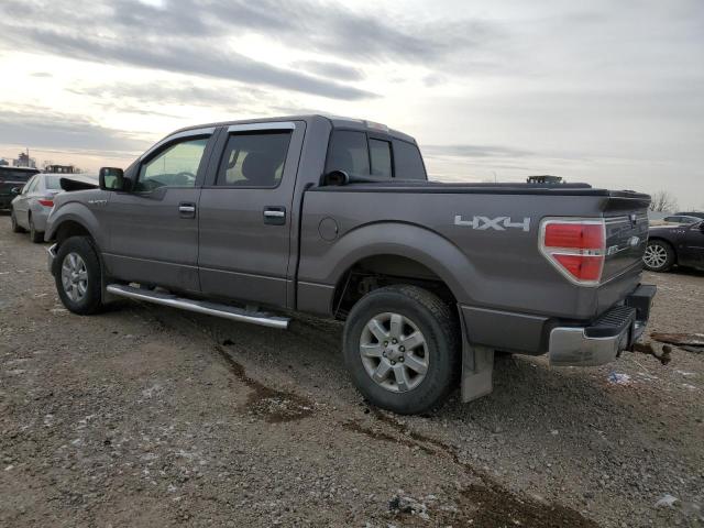 FORD F150 SUPER 2014 gray  flexible fuel 1FTFW1EF8EFA93544 photo #3