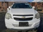 Lot #3040841788 2014 CHEVROLET CAPTIVA LT