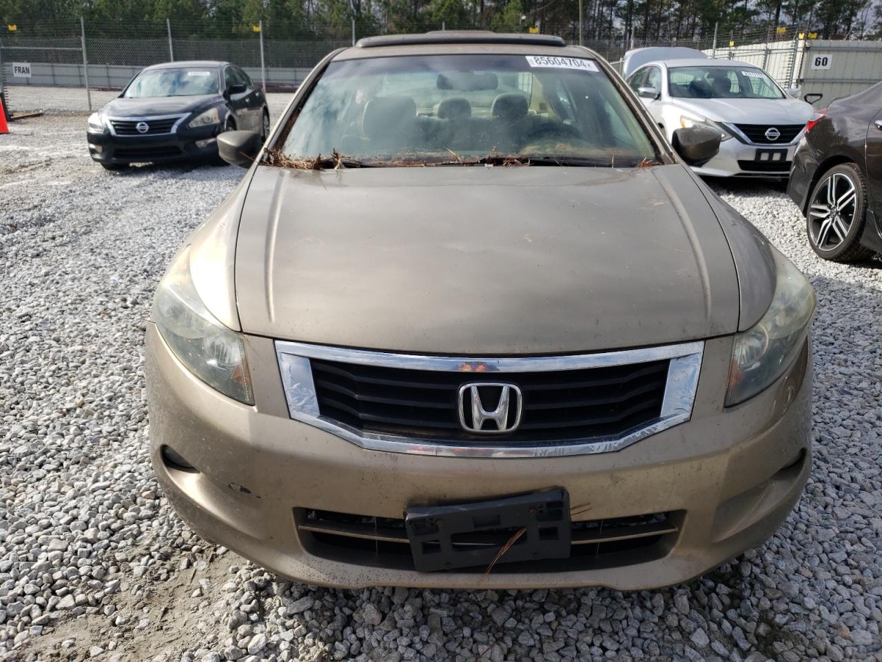 Lot #3028380819 2009 HONDA ACCORD EXL