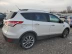 Lot #3024529400 2014 FORD ESCAPE SE