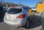 Lot #3022768339 2009 NISSAN MURANO S