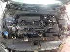 Lot #3027159323 2024 HYUNDAI ELANTRA SE