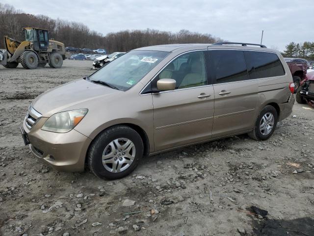 HONDA ODYSSEY EX 2005 tan  gas 5FNRL38635B408574 photo #1