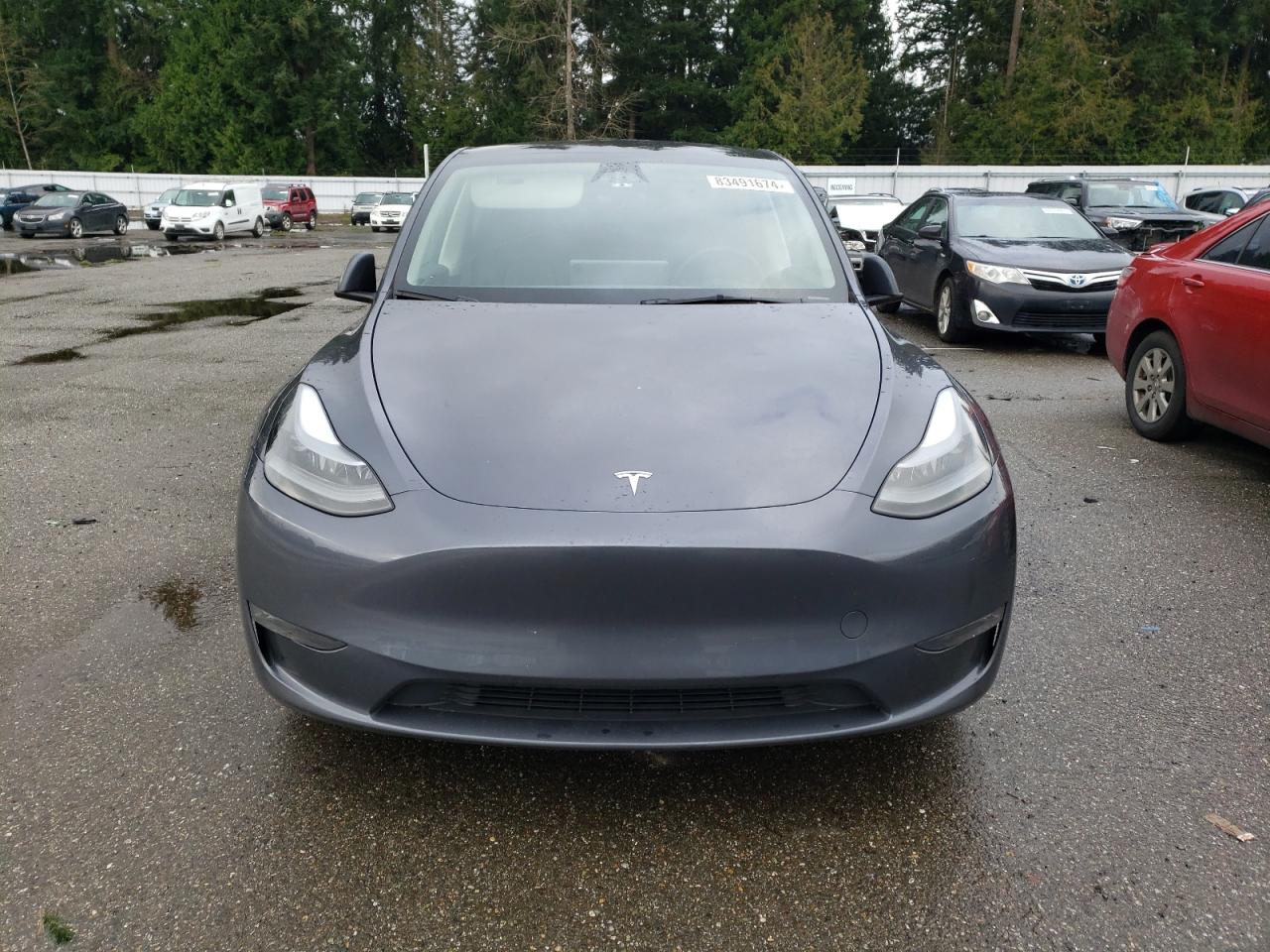 Lot #3034519738 2023 TESLA MODEL Y