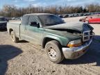 Lot #3024146842 2002 DODGE DAKOTA SLT