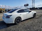 Lot #3024286803 2012 NISSAN MAXIMA S