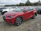 2019 LEXUS NX 300 BAS - JTJYARBZ8K2124540
