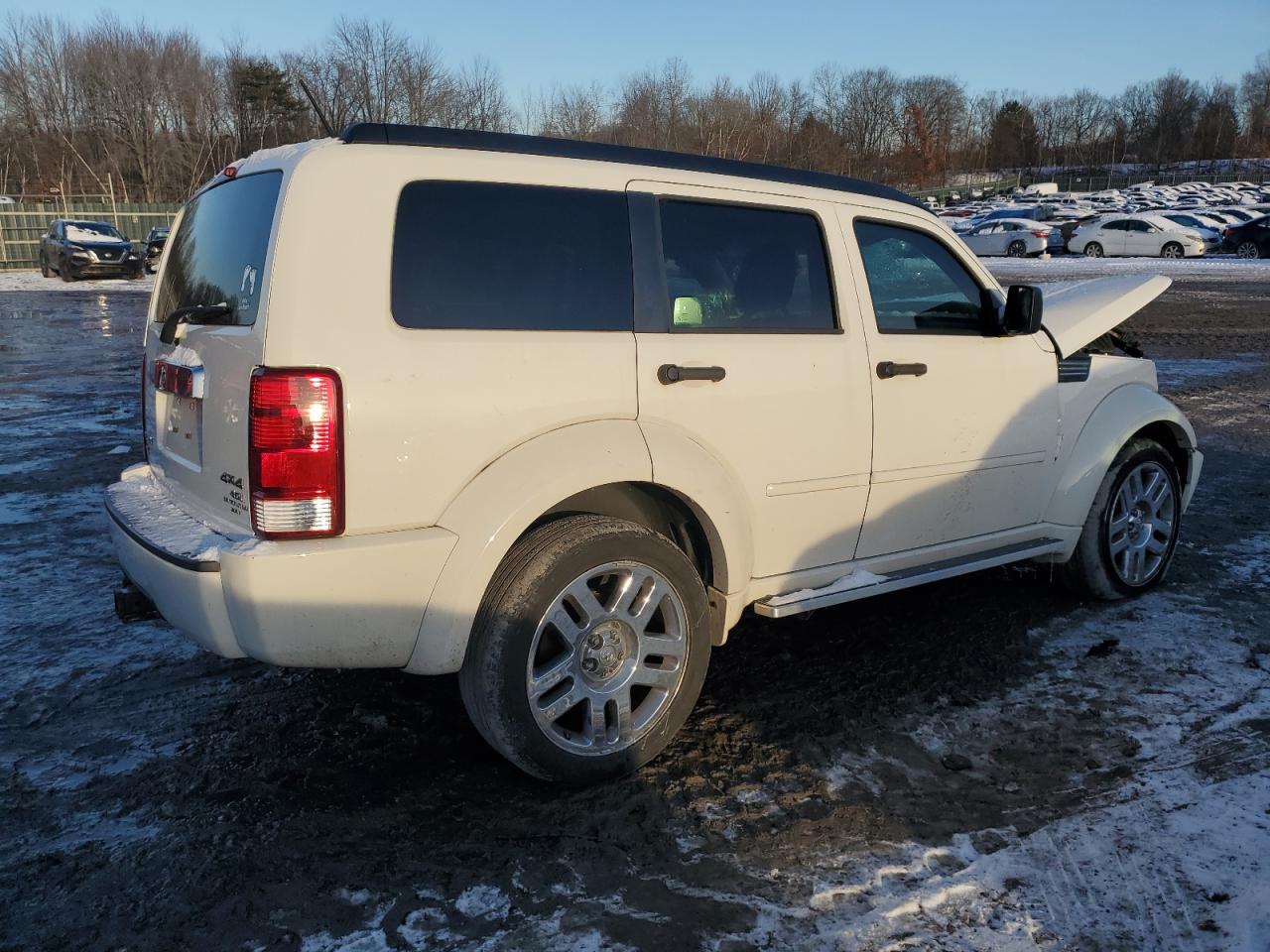 Lot #3040813791 2007 DODGE NITRO R/T