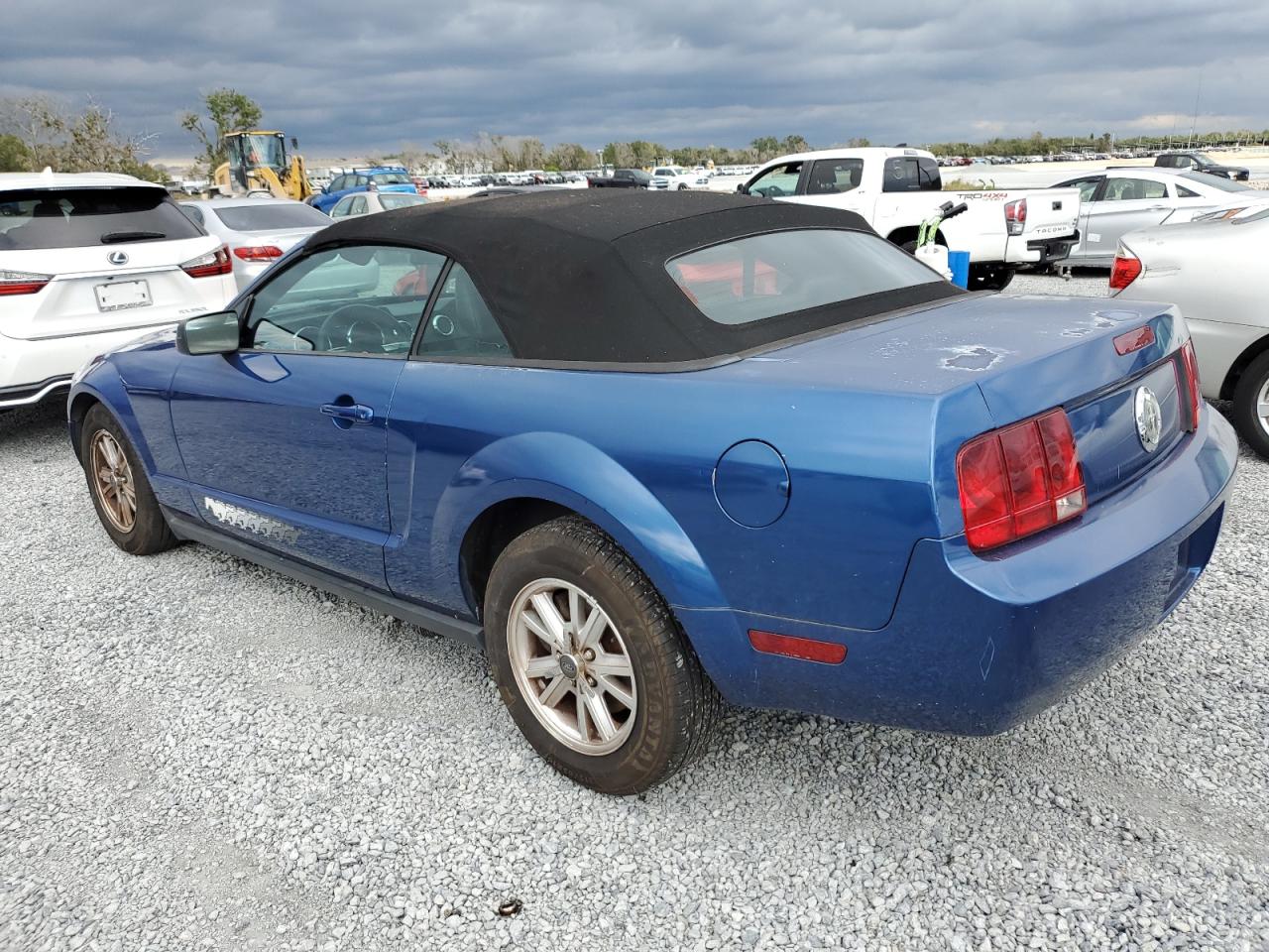 Lot #3030418468 2007 FORD MUSTANG