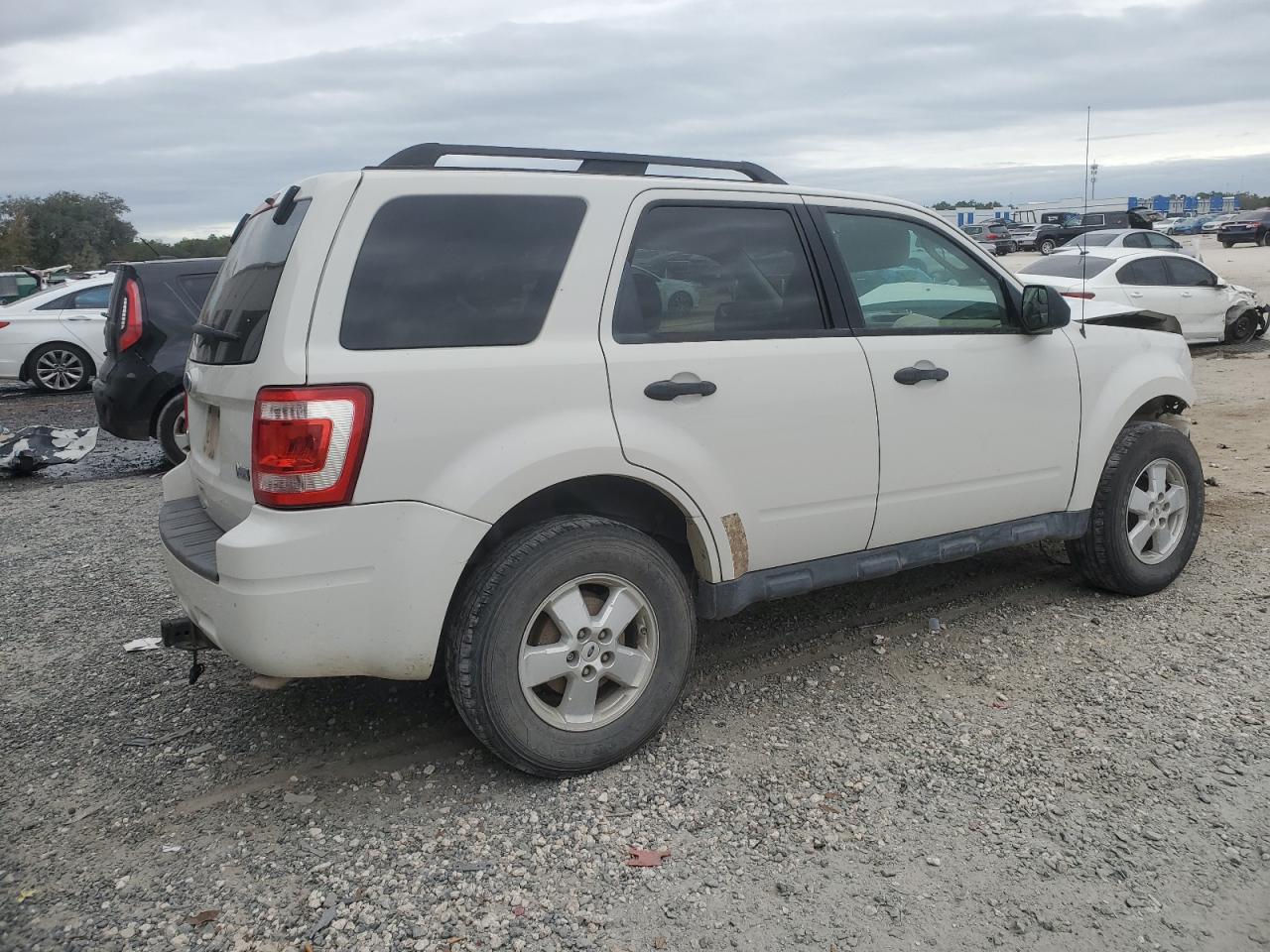 Lot #3029465710 2010 FORD ESCAPE XLT