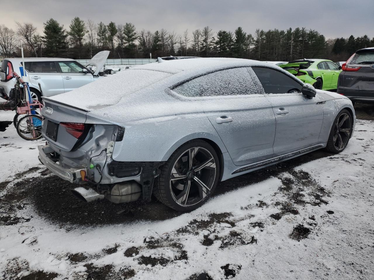 Lot #3027081766 2019 AUDI RS5