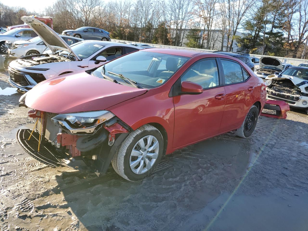 Lot #3033039011 2014 TOYOTA COROLLA L