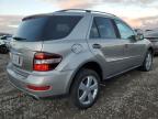 Lot #3024974128 2009 MERCEDES-BENZ ML 350