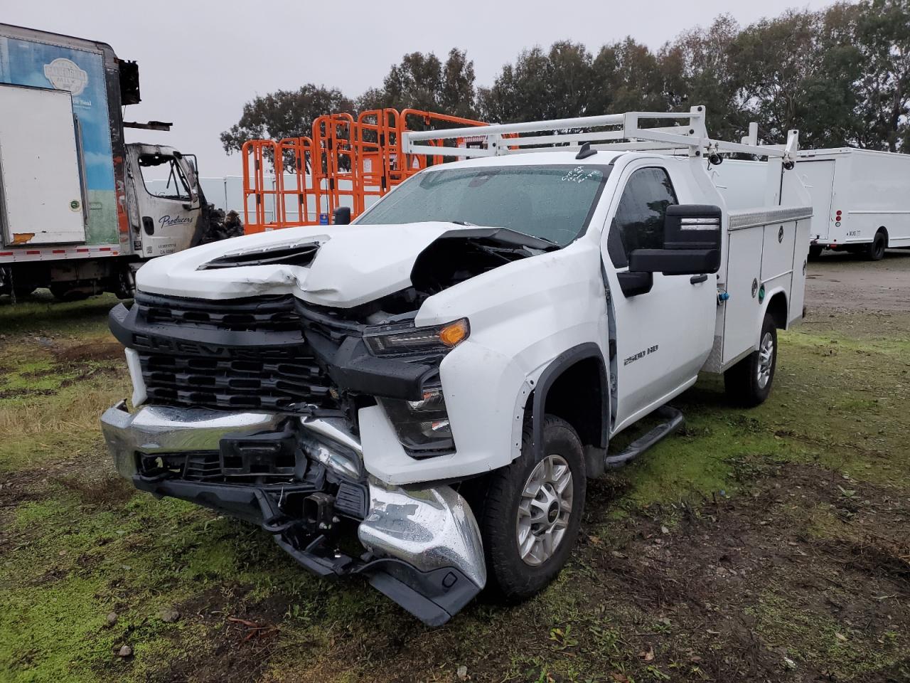 Lot #3033497093 2023 CHEVROLET SILVERADO