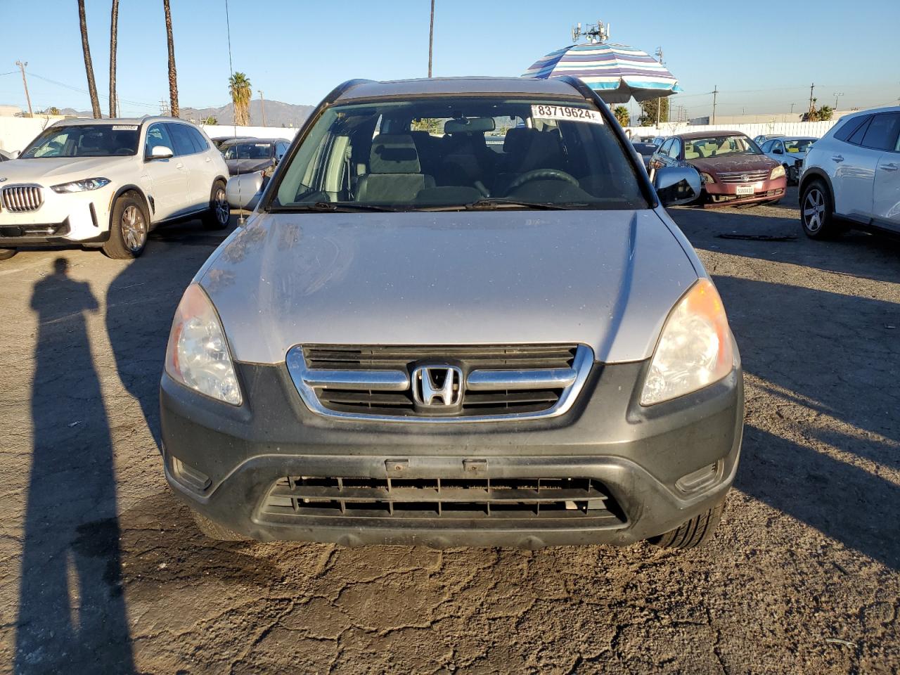 Lot #3034298108 2004 HONDA CR-V EX