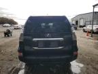 Lot #3041755437 2020 LEXUS GX 460 PRE