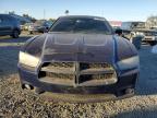 Lot #3024863354 2014 DODGE CHARGER SE