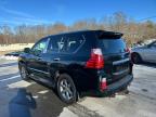 Lot #3024613613 2012 LEXUS GX 460 PRE