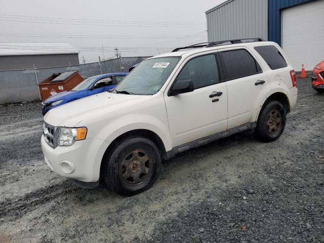 Vin: 1fmcu9dg9ckc31903, lot: 85721644, ford escape xlt 2012 img_1