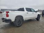 Lot #3027159290 2021 CHEVROLET SILVERADO