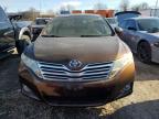 Lot #3025040287 2010 TOYOTA VENZA