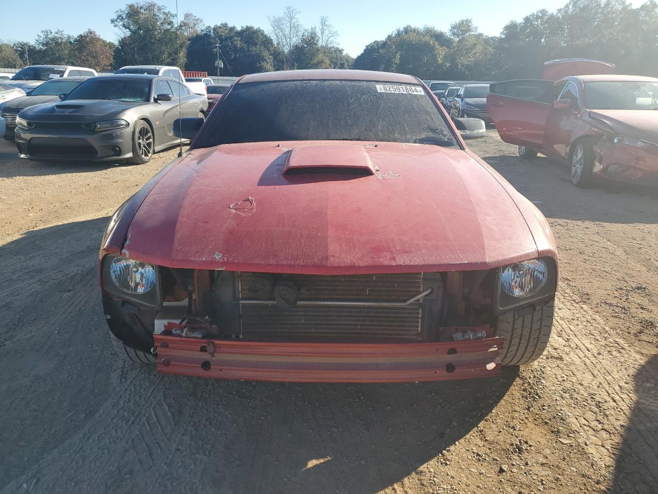 Lot #3021131188 2007 FORD MUSTANG GT