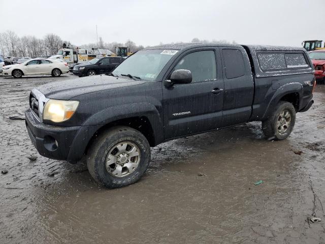 2005 TOYOTA TACOMA ACC #3038084212