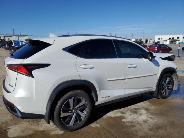 2019 LEXUS NX 300H - JTJBJRBZ7K2114913