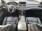 HONDA ACCORD SE photo