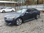 2017 KIA OPTIMA PLU - KNAGV4LD4H5010421