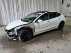 Lot #3025788400 2023 TESLA MODEL 3